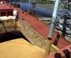 Украина может полностью запретить экспорт зерна