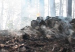 9 гектаров леса горело в Харьковской области