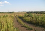 Приватизация земли в Харьковской области заблокирована. В Харьковском земельном кадастре утверждают, что процесс тормозят искусственно