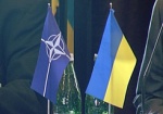 Генсек НАТО: Украина станет членом Альянса, но пока не готова к этому