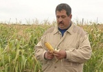 Двенадцать лет судебной тяжбы за 20 мешков кукурузы. Житель Харьковской области с конца 90-х живет под подпиской о невыезде