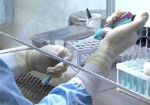 Если «свиной грипп» нагрянет в Украину, вакцинация будет обязательной
