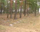 Под Дергачами нашли кладбище немецких солдат