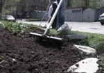 В Орджоникидзевском районе коммунальщики засадили стройку деревьями