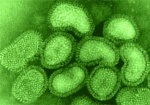 Специалисты ВОЗ обеспокоены непредсказуемостью гриппа A(H1N1)