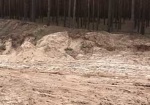 В Октябрьском лесхозе незаконно добывали песок