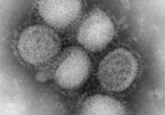 Что нужно знать о гриппе А (Н1N1)? Памятка