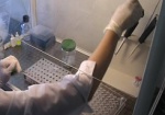 Ни у одного из заболевших в Харьковской области грипп типа А (Н1N1) «Калифорния» не выявлен