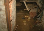 Дырявые трубы легки на порывы. Постоянные потопы в подвале могут повредить фундамент дома на Маяковского