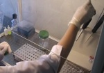 Колпакова: Пятеро человек с подтвержденным диагнозом «калифорнийский грипп» - жители районов Харьковской области