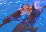 Животные в белых халатах, или Терапия в бассейне. Как обитатели Харьковского дельфинария лечат малышей?
