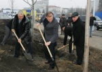 Руководство города и главный футбольный инвестор высадили деревья возле стадиона «Металлист»
