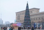 Главная городская елка откроется 26 декабря