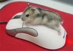 Сегодня – день рождения компьютерной мыши