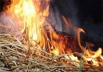 В Чугуевском районе сгорело 100 тонн сена