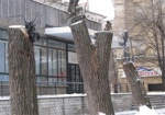 Харьковские студенты соорудили памятник срубленным деревьям