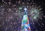 Новогодние гулянья на площади Свободы. Как Харьков подготовился к празднику?
