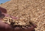 В 2009 году харьковские аграрии продали 1 миллион 700 тысяч тонн зерна