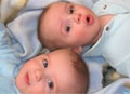 25 июня в Харькове родились близнецы-девочки