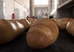 Обладминистрация: В Харькове нет оснований для подорожания хлеба