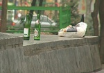 Продажа пива несовершеннолетним и его распитие в общественных местах запрещены