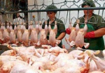 Из-за «птичьего гриппа» Украина запретила ввоз курятины из Мьянмы, Непала и КНР