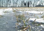 Харьковские аграрии оценивают ущерб от капризов природы
