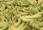 Бананы выросли в цене вполовину. Как продавцы объясняют подорожание?