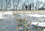 Снег почти сошел с харьковских полей. Аграрии уверяют: посевы в норме