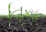 Недостатка семян и минеральных удобрений для весенне-полевых работ на Харьковщине в этом году не будет