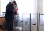Янукович хочет местные выборы в этому году
