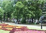 Грядет реконструкция «легких» Харькова