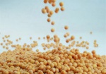 В продукции харьковских производителей обнаружили ГМО