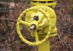 «Как спрашивали, так и платили» - губернатор Михаил Добкин о расчетах области за газ