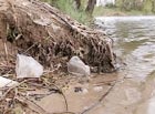 Для очистки харьковских рек не хватает рабочих