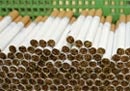 В Рогани появится табачная фабрика