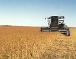 Аграрии Харьковской области собрали 44% ранних зерновых