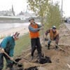 276 тысяч деревьев и кустов посадили в Харьковской области