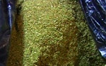 600 граммов марихуаны изъяли у пассажира в Волчанске