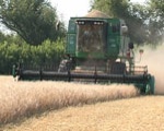 Харьковская область – лидер по сбору пшеницы