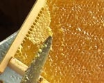 Пчеловоды заканчивают сбор меда