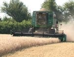 Качество урожая зерновых теперь можно измерить
