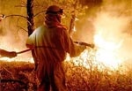 Харьковчане помогут тушить пожар на Херсонщине