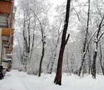 Рекордно низкая за эту зиму температура в Харькове