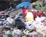 Харьковчанам приходится вдыхать пары разлагающегося мусора