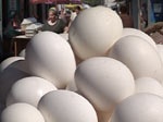 Птицеводы прогнозируют подорожание яиц