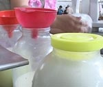За сутки сельхозпредприятия области реализовали 364 тонны молока