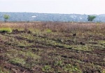 СНБО проверит соблюдение земельного законодательства в Харьковской области