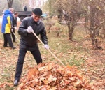 Всеобщая трудовая мобилизация. Как чиновники в Харькове листья собирали