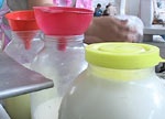 Дефицит молока в Украине ведет к его подорожанию